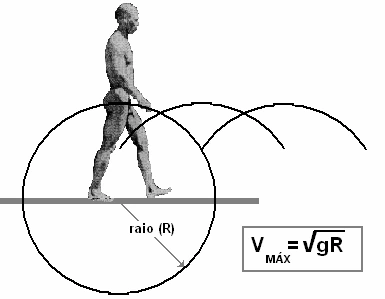 Esquema do caminhar humano e expressão para a velocidade máxima
