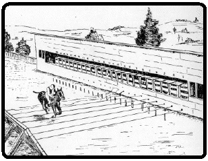 Arranjo fotográfico de Muybridge