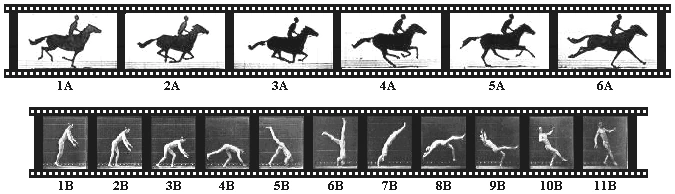 Sequências fotográficas do cavalo e de uma cambalhota