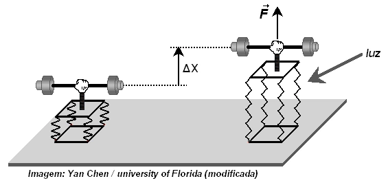 Nanomotor levantando uma pequena carga por meio de uma força F