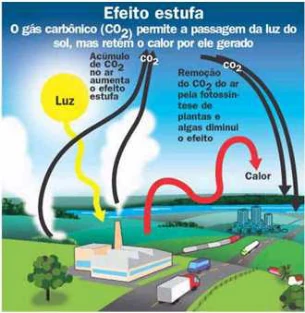Ilustração original da questão 33 — FEMPAR 2009