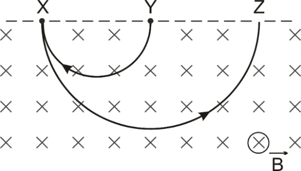 Trajetórias semicirculares com diâmetros XZ e XY, sendo XY igual a YZ, em campo para dentro da página.