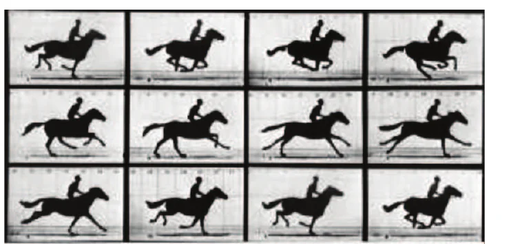 Doze fotografias em sequência (3 linhas por 4 colunas) de um cavalo a galope com o jóquei, de Eadweard Muybridge.