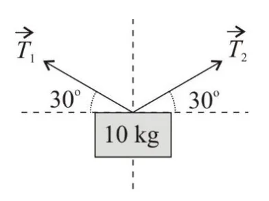Objeto de 10 kg suspenso simetricamente por dois cabos, cada um formando 30 graus com a horizontal