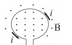 Alternativa D: espira circular percorrida por corrente i, com símbolos × e • indicando o campo magnético dentro e fora dela