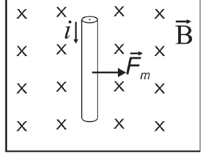 Alternativa A: condutor retilíneo com corrente i em um campo magnético B uniforme e a força magnética F desenhada