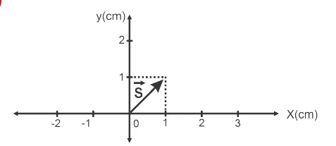 Alternativa E: gráfico do vetor soma S