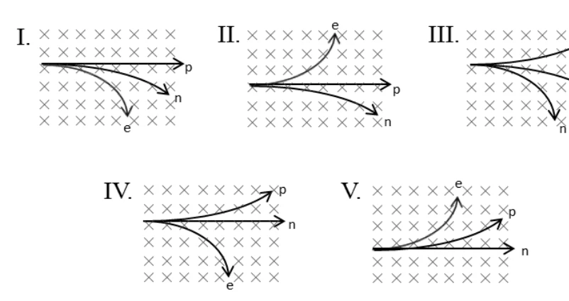 Cinco figuras (I a V) com campo magnético entrando na folha (símbolos ×). Em cada uma, três trajetórias partem do mesmo ponto, para a direita: as de p, e e n, que se curvam para cima, para baixo ou seguem retas, de formas diferentes em cada figura.
