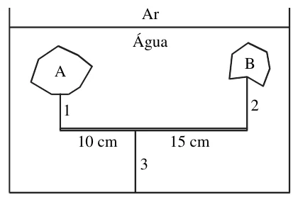 Recipiente com água. Blocos de cortiça A e B, submersos, presos por fios 1 e 2 às extremidades de uma vareta horizontal de 25 cm. O fio 3 liga a vareta ao fundo, a 10 cm do fio 1 e a 15 cm do fio 2.