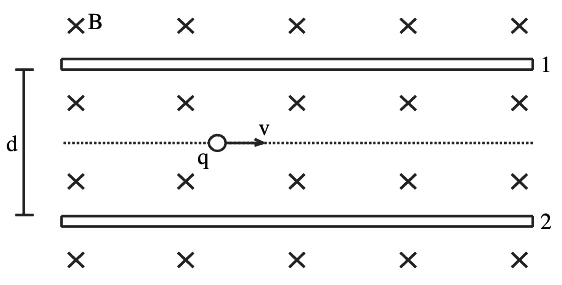 Duas placas horizontais, 1 (superior) e 2 (inferior), separadas por d, em um campo magnético B que entra no plano da página (símbolos ×). Entre elas, uma partícula de carga q se move para a direita com velocidade v.