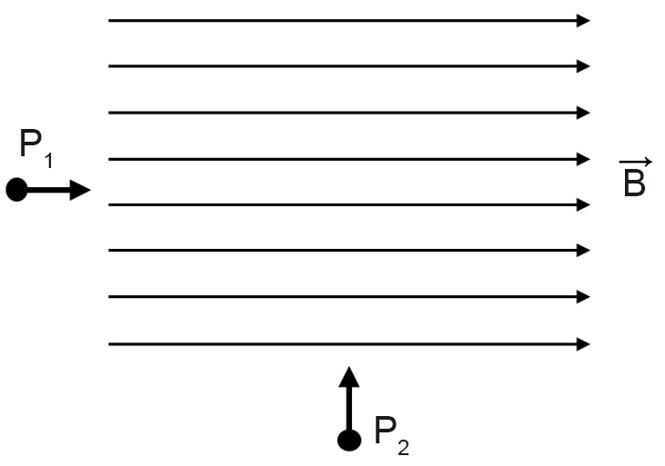 Linhas de campo magnético uniforme horizontal para a direita; a partícula P1 entra paralelamente às linhas e a partícula P2 entra perpendicularmente a elas