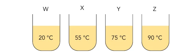Quatro recipientes W, X, Y e Z com o mesmo líquido a 20, 55, 75 e 90 graus Celsius