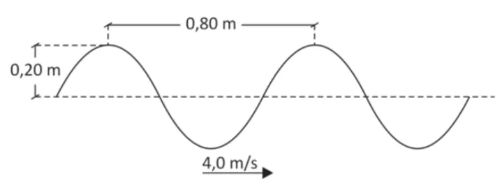 Onda transversal de amplitude 0,20 metro, comprimento de onda 0,80 metro e velocidade de propagação 4 metros por segundo