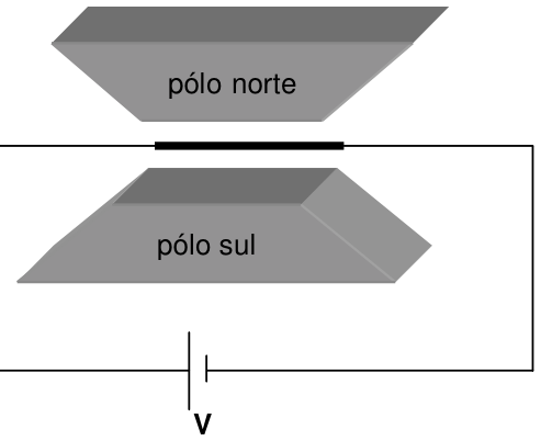 PUC-RS 2008.1, questão 9: figura ou expressão do enunciado