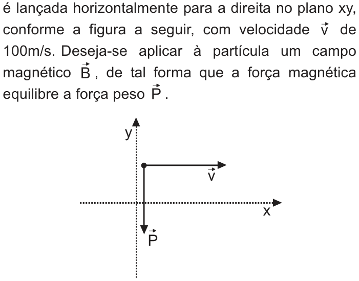 PUC-RS 2010.2, questão 9: figura ou expressão do enunciado