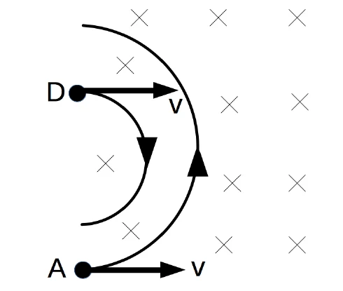Partículas D e A entram com velocidade V para a direita em uma região de campo magnético para dentro do plano; D descreve uma semicircunferência menor, curvando para baixo, e A uma maior, curvando para cima