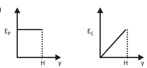Diagrama da alternativa C da questão 5.