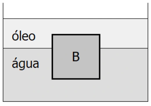 Bloco na interface entre água e óleo — figura original da questão 21