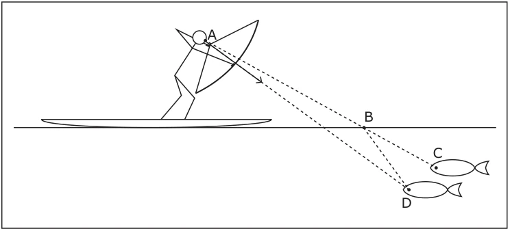 Pescador em A observa peixe real em D; raio de luz D–B–A refrata ao sair da água, enquanto C indica a posição aparente.