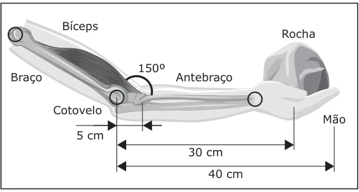 Antebraço horizontal de 40 cm; rocha a 30 cm do cotovelo; bíceps aplicado a 5 cm, formando 150 graus com o antebraço.