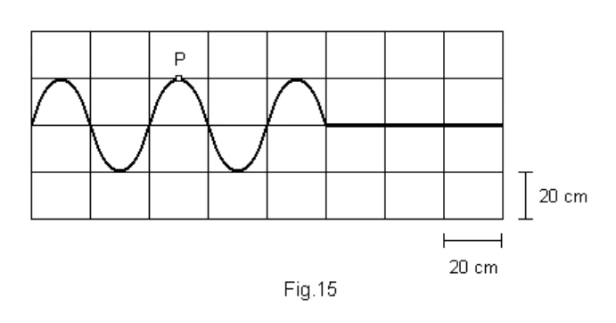 Perfil de onda transversal na corda, com P na crista. Cada divisão horizontal e vertical indicada equivale a 20 cm.