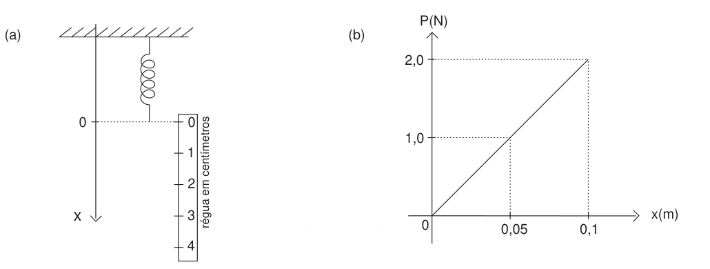 Mola vertical com régua e gráfico P versus x: 1 N em 0,05 m e 2 N em 0,10 m.