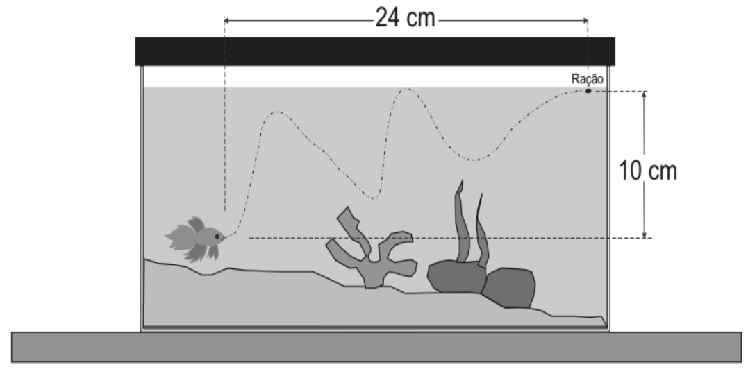 Aquário com trajetória sinuosa e cotas de 24 cm e 10 cm