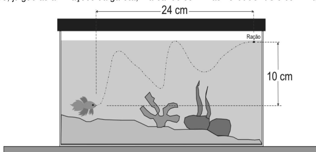 Aquário com trajetória curva, cotas de 24 cm e 10 cm e posição da ração.
