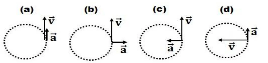 Quatro esquemas de movimento circular: (a) velocidade e aceleração para cima; (b) velocidade para cima e aceleração para a direita; (c) velocidade para cima e aceleração para a esquerda; (d) velocidade para a esquerda e aceleração para cima. O carrinho está no ponto mais à direita de cada circunferência.