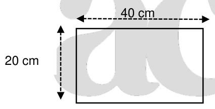 Base retangular da forma, com lados de 20 cm e 40 cm.