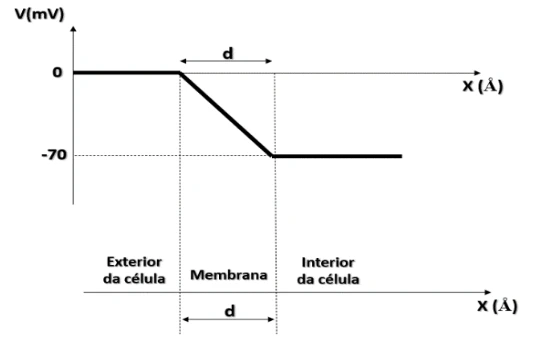 Potencial constante fora da membrana e queda linear de zero a menos 70 mV na espessura d.