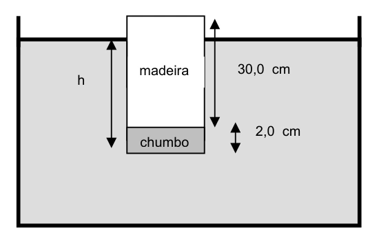 Flutuação de cilindro composto: figura original da questão 5, UDESC 2006.2