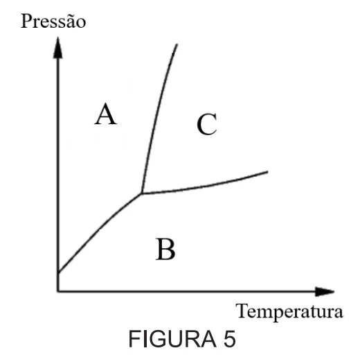 Figura 5 — questão 11 da UDESC 2024.1