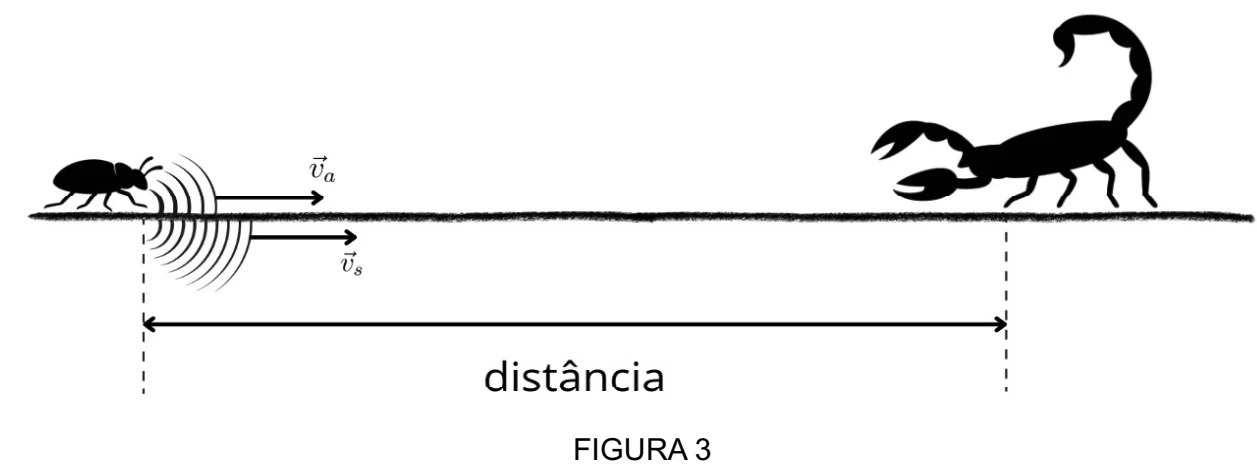 Figura 3 — questão 11 da UDESC 2025.2