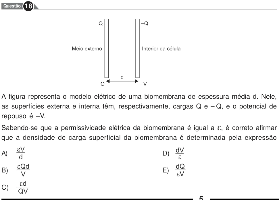 Recorte original da questão 18, parte 1. Enunciado e alternativas transcritos acima.