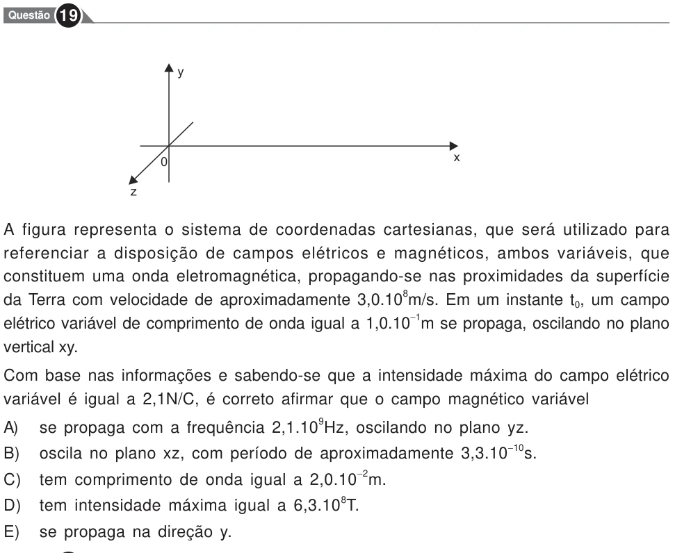 Recorte original da questão 19, parte 1. Enunciado e alternativas transcritos acima.