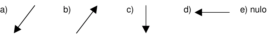 Cinco opções de vetor: a) seta inclinada para baixo e para a esquerda; b) seta inclinada para cima e para a direita; c) seta vertical para baixo; d) seta horizontal para a esquerda; e) nulo.