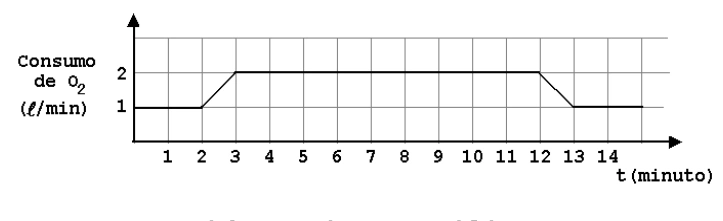 Gráfico do consumo de oxigênio em função do tempo