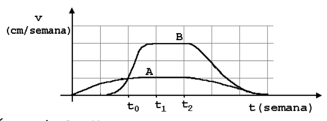 Gráfico das velocidades de crescimento vertical das plantas A e B