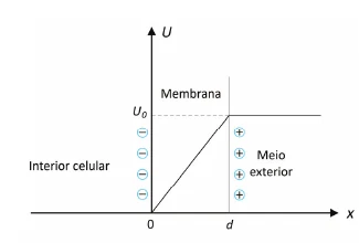 Gráfico do potencial elétrico U ao longo de uma membrana celular de espessura d, com ânions na face interna e cátions na face externa