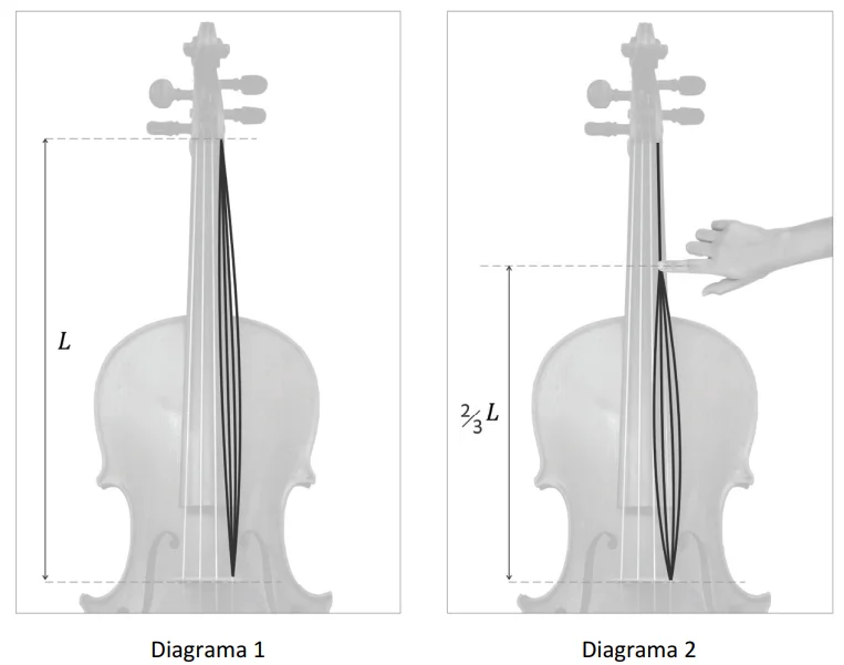 Dois diagramas de ondas estacionárias em uma corda de violoncelo: diagrama 1 mostra um único ventre ao longo do comprimento L (modo fundamental); diagrama 2 mostra a corda pinçada a 2/3 de L, vibrando em seu modo fundamental nesse trecho menor