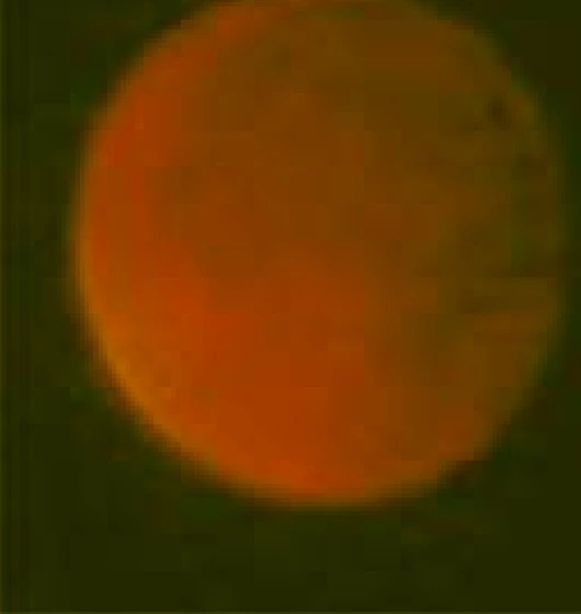 Fotografia da Lua durante um eclipse lunar total.