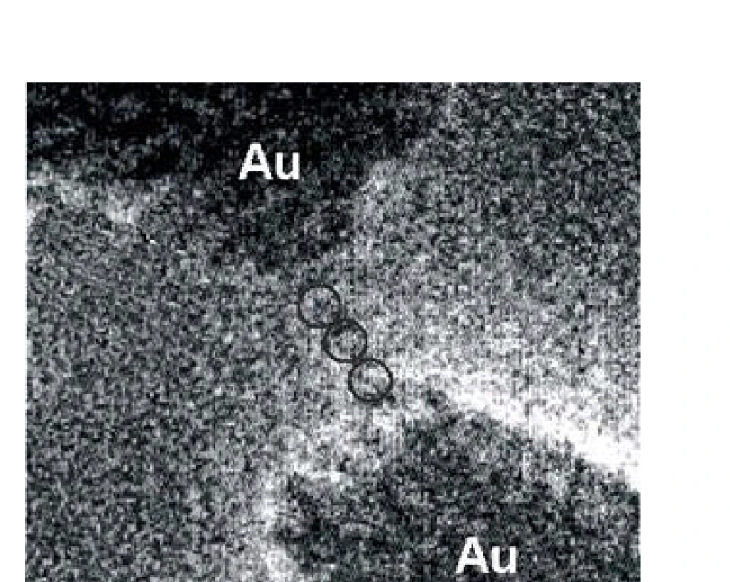 Imagem microscópica de dois pedaços de ouro conectados por três átomos de ouro