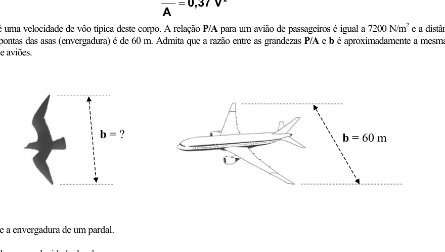 Comparação entre envergadura de pássaro e avião