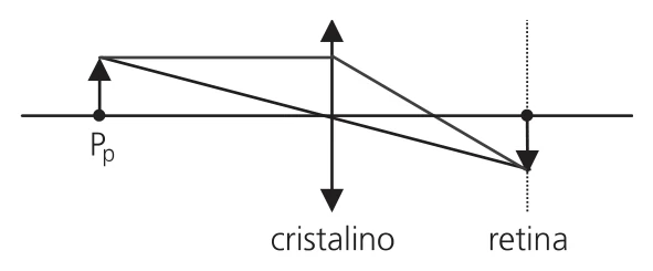 Esquema do cristalino, ponto próximo e retina