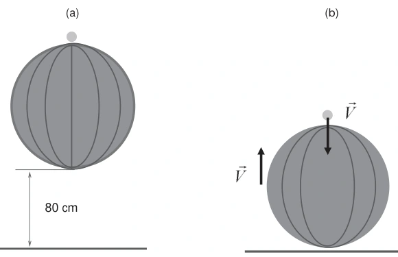 Bola de basquete com bola de pingue-pongue nas situações (a) e (b)