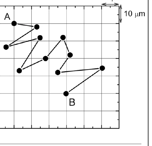 Trajetória de uma partícula em movimento browniano entre A e B