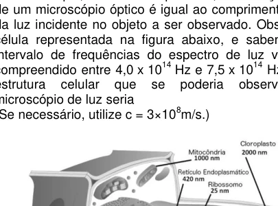 Célula com dimensões aproximadas de organelas