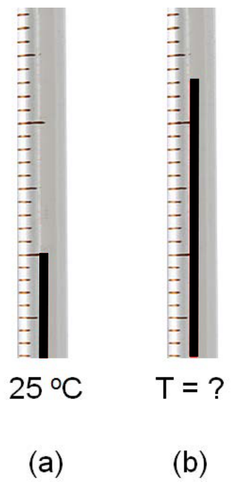 f2 q10 termometro: figura completa conferida no PDF original