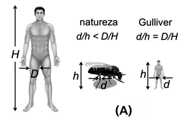 Figura A comparando proporções de membros de sustentação na natureza e em Gulliver